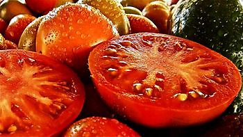 tomaat 1 - Spandoekstore.com reclameuitingen