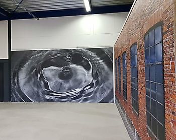 fotowand / Presentatiewand actie februari en maart - Spandoekstore.com reclameuitingen