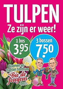 posters a1 Blueback posters Tulpen - Spandoekstore.com reclameuitingen